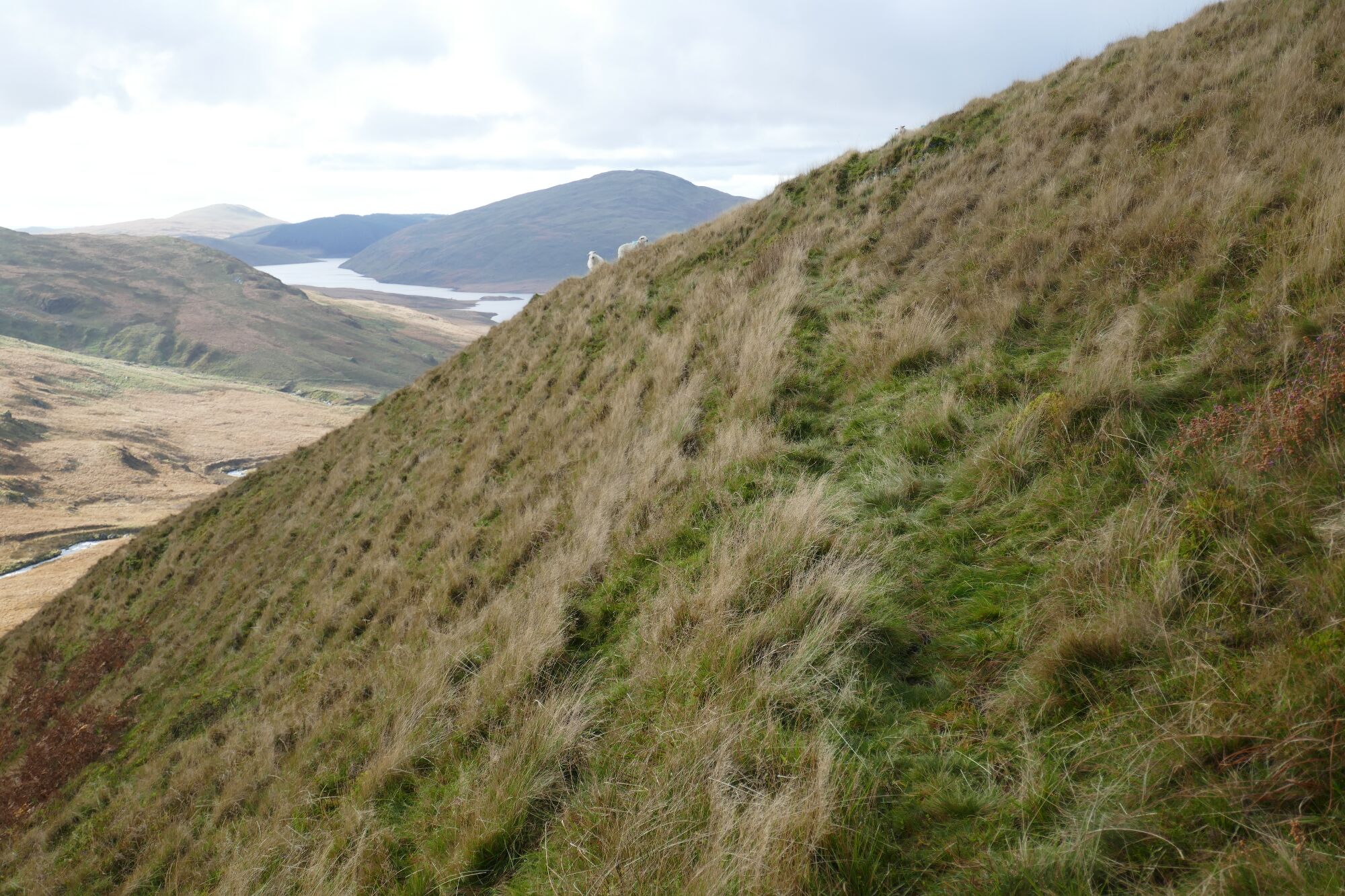 RachelSeabrook.net | Wild Walking | Cwm Hengwm | pic21